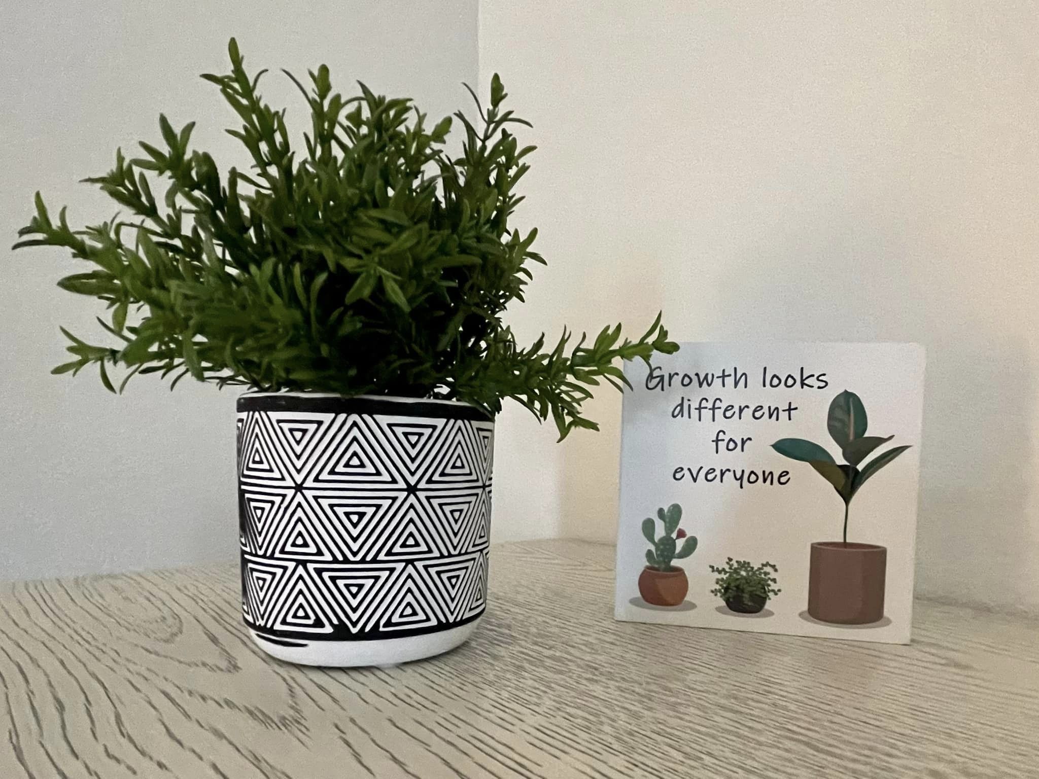 Growth & Transition